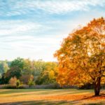 антикварная картина